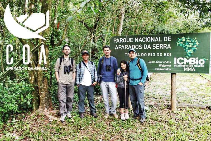 Observação de Aves nos Aparados da Serra